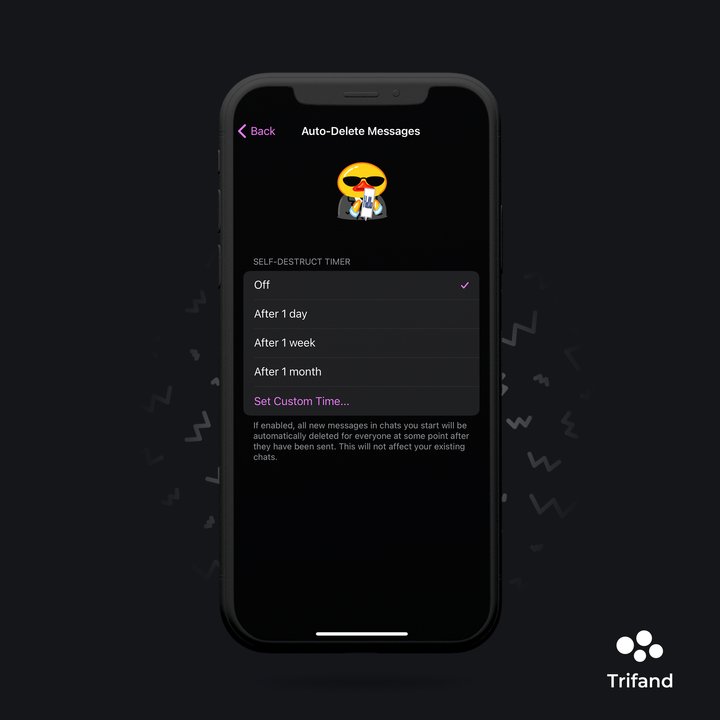 اسکرین‌شات از بخش Auto-Delete Messages تلگرام
