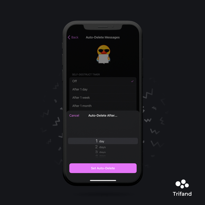 اسکرین‌شات از بخش Auto-Delete Messages تلگرام